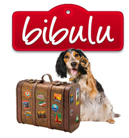 Lancement_Bidulu.jpg