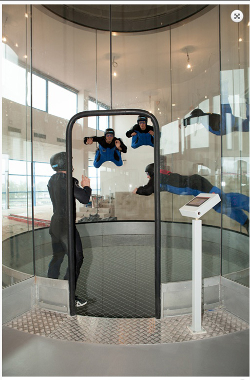 windoor-realfly2.jpg