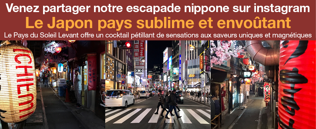 lejaponenviedaileursmagazine