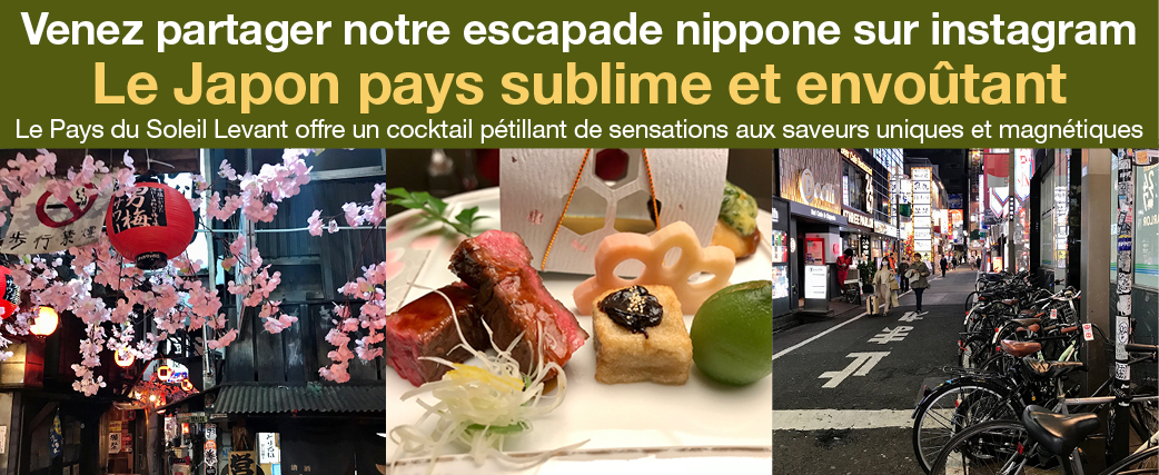 lejaponenviedaileursmagazine7