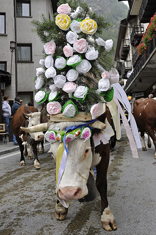 Foto Giorgio Neyroz