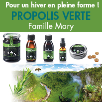 ￼￼￼￼￼￼￼￼￼￼￼￼￼￼￼￼￼￼￼￼￼￼￼￼￼La Propolis verte<br>un concentré des Abeilles<br>aux vertus surprenantes