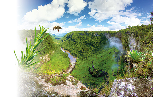 paysage.jpg