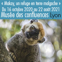 L’exposition Makay au musée des confluences à Lyon