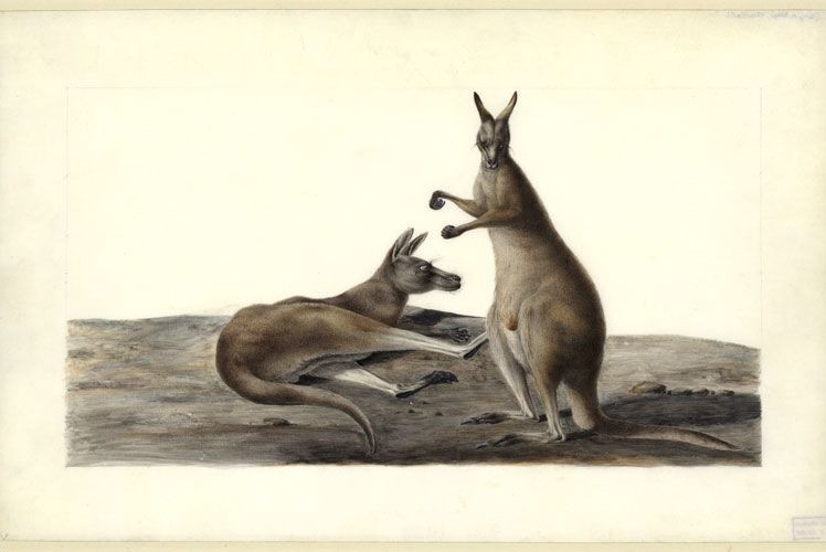 museum-australie-2o21