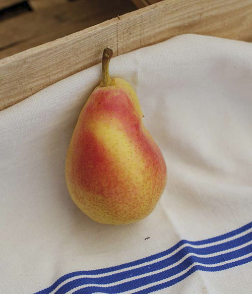2MARSEILLE PROVENCE GASTRONOMIE