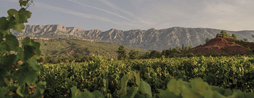 7MARSEILLE PROVENCE GASTRONOMIE