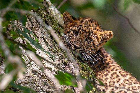ZooSafari de Thoiry1