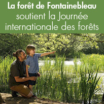La forêt de Fontainebleau soutient la Journée internationale des forêts