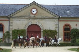 Aout 2015, Haras d'Hennebont