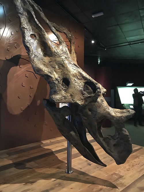 museum4