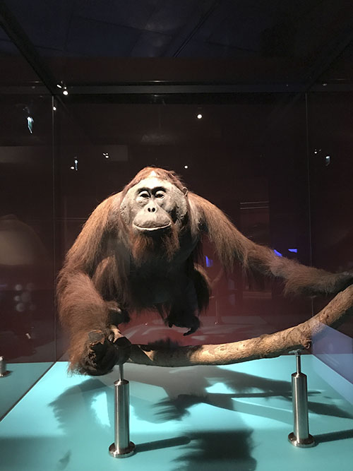 museum8