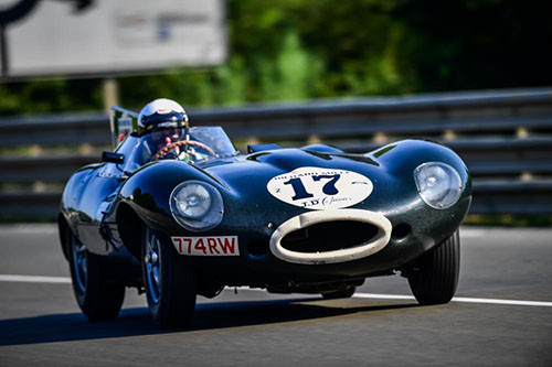 Jaguar D-Type 1955 .jpeg