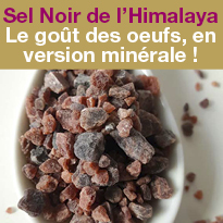 Nouvelle saveur Sel Noir de l'Himalaya Kala Namak