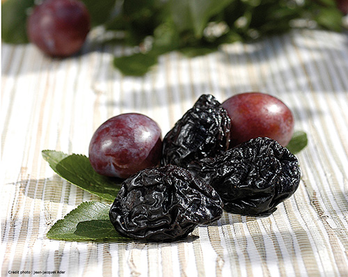 prune_et_pruneaux.jpg