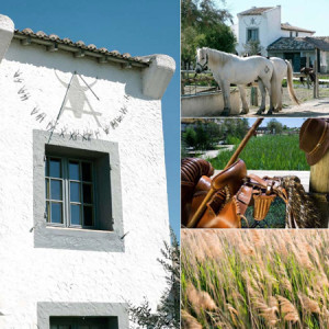 Hôtel Les Arnelles ***