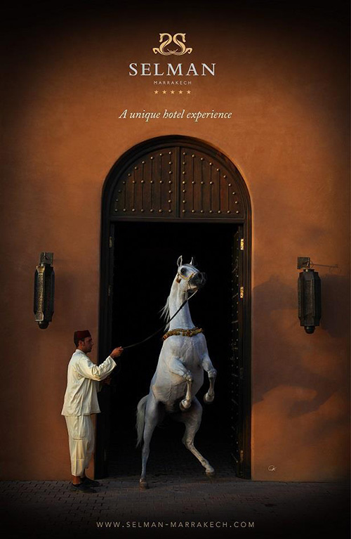 Presentation_commerciale_Selman_Marrakech_Page_02_Image_0001.jpg