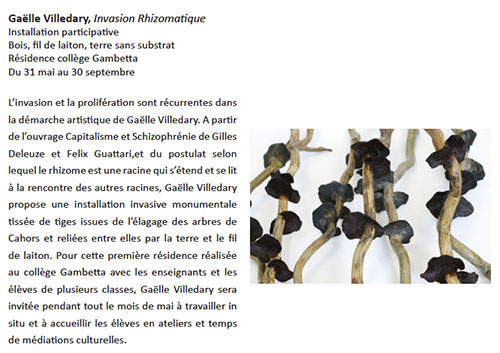 JUIN JARDINS5