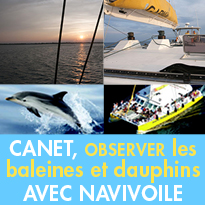 Pyrénées-Orientales<br>Canet-en-Roussillon <br>Larguez les amarres  !