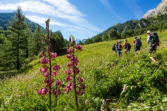 Réserve naturelle de Ristolas-Mont Viso, randonnée au petit belvédère du Viso