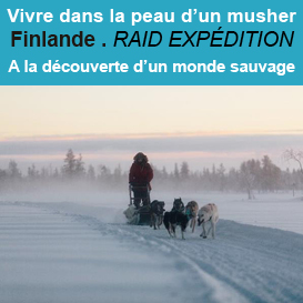 Conduire<br>son attelage<br>de chiens de traineau<br>en Finlande