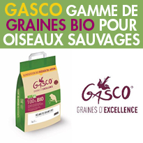 Nouveau graines bio pour oiseaux sauvages