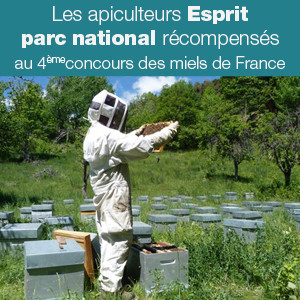 Les apiculteurs Esprit parc national récompensés !