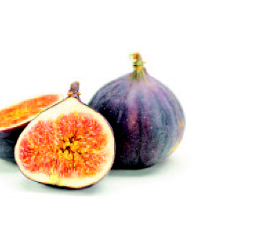 fruits_secs_8_Page_1_Image_0005.jpg