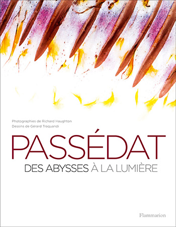 passedatdesabyssesalalumiere.jpg