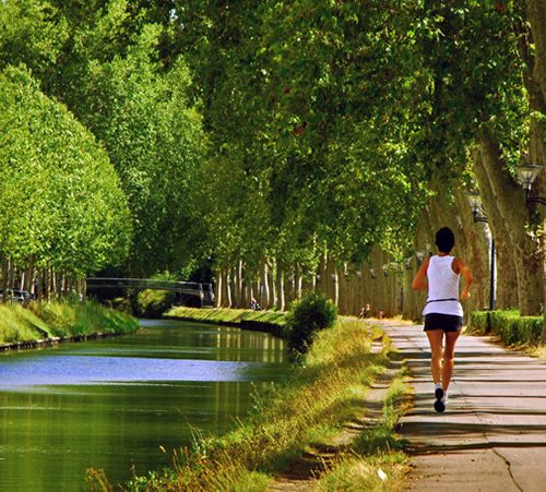 COMMUNIQUE-GUIDE-VERT-TOULOUSE-02.2016_Page_1_Image_0001.jpg