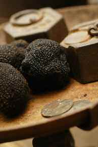 DP_Manuel_Truffe_Page_5_Image_0001.jpg