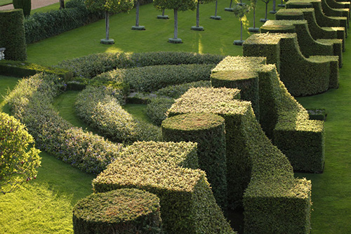 jardin.jpg