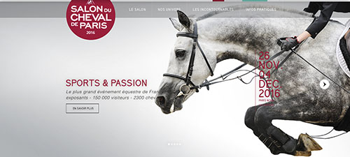 cheval.jpg