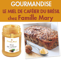 Miel de caféier<br>du Sud-Est<br>du Brésil<br>Famille Mary