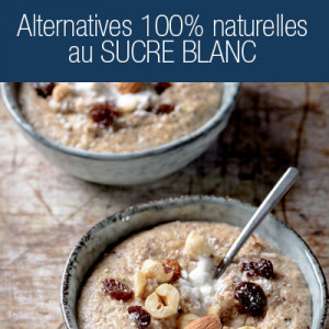 10 alternatives naturelles au sucre Blanc