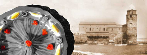 anchois-collioure.jpg