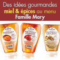 Miel & épices<br>idées gourmandes<br>le miel au menu