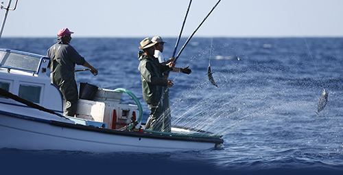 F4E fishing
