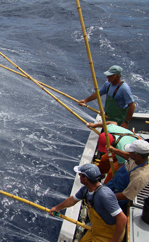 Fishermen 1 (2)