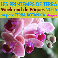 LES PRINTEMPS DE TERRA<br>Week-end de Pâques<br>à Angers (49)