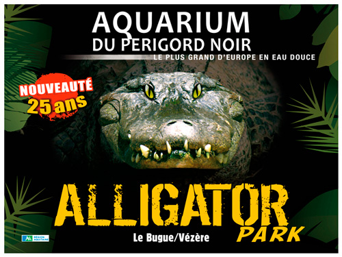 alligator.jpg