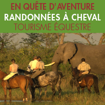 randonnées équestres inédites<br>avec CHEVAL D'AVENTURE