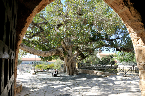 chypre11.jpg