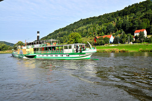 DSC_8179.jpg