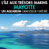 A la découverte<br>de l’un des plus beaux<br>lagons fermés du monde