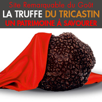 Un patrimoine à savourer<br>Les Truffes du Tricastin