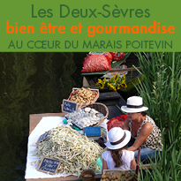 ￼￼Les Deux-Sèvres<br>évasion<br>en plein cœur du terroir