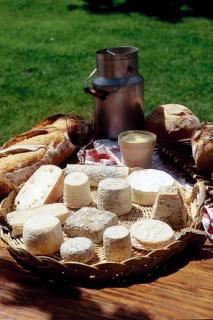 CommuniquePressePrintempsDeuxSevres_Page_1_Image_0009.jpg