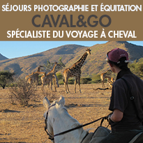 Des séjours équestres<br>pour les photographes en herbe