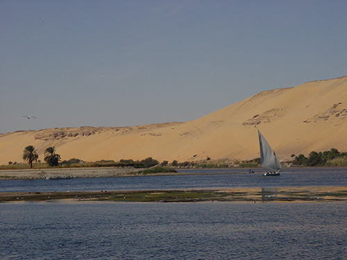 DSC01546.jpg